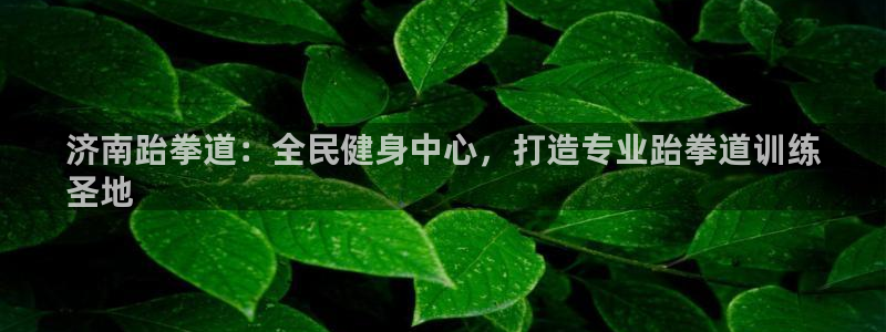 尊龙d88平台登录：济南跆拳道：全民健身中心，打造专业跆