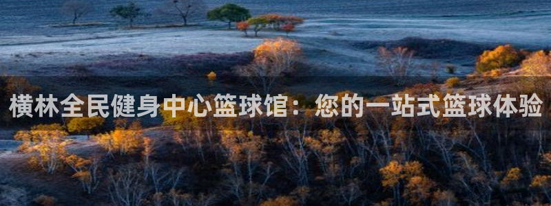 尊龙凯时俱乐部：横林全民健身中心篮球馆：您的一站式篮球体