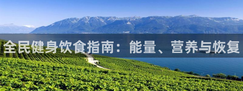 尊龙/人生就是博：全民健身饮食指南：能量、营养与恢复