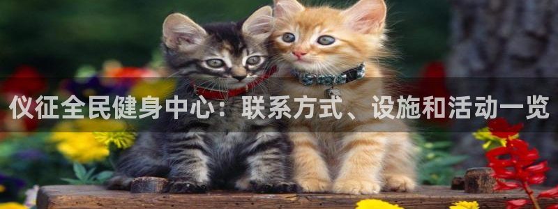 尊龙凯时旗舰厅官网：仪征全民健身中心：联系方式、设施和活