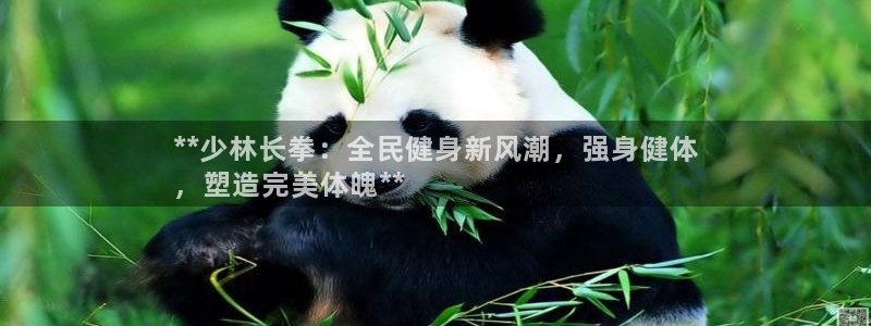 凯时AG网：**少林长拳：全民健身新风潮，强身健体
，塑