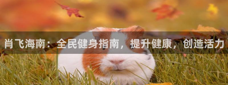 尊龙手机官方客户端下载安装：肖飞海南：全民健身指南，提升