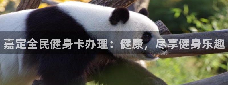 尊龙凯时链接：嘉定全民健身卡办理：健康，尽享健身乐趣