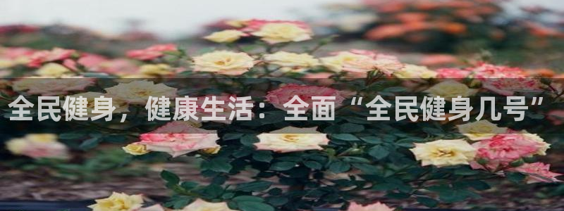 凯时登录：全民健身，健康生活：全面“全民健身几号”