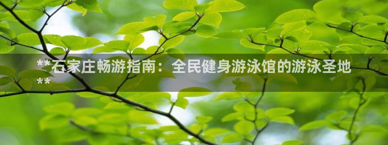 尊龙凯时百万奖池：**石家庄畅游指南：全民健身游泳馆的游