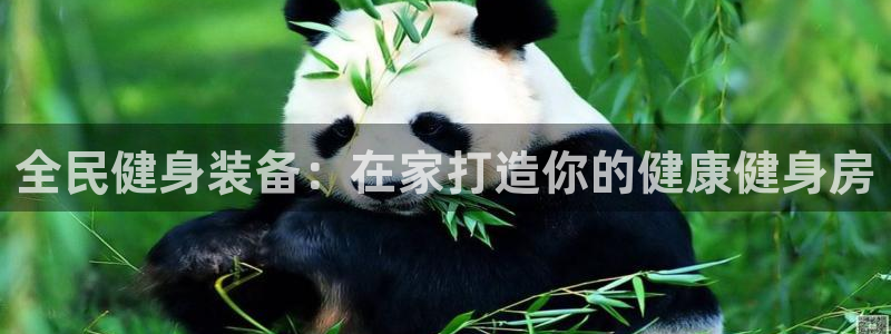 尊龙凯时app产品介绍：全民健身装备：在家打造你的健康健