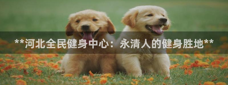 尊龙ag旗舰：**河北全民健身中心：永清人的健身胜地**