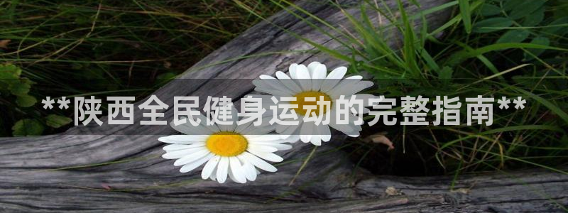 尊龙ag旗舰：**陕西全民健身运动的完整指南**