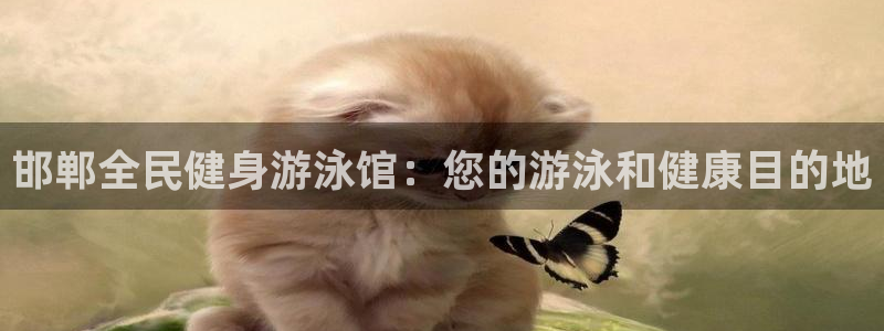 尊龙凯时开发：邯郸全民健身游泳馆：您的游泳和健康目的地
