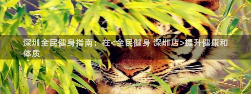 尊龙人生就要博旧版：深圳全民健身指南：在<全民健身 深圳