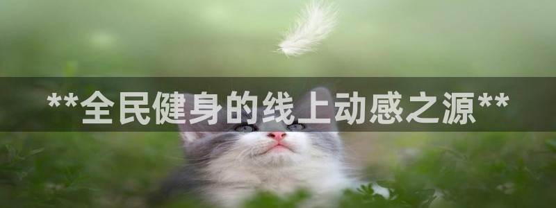 尊龙z6官网：**全民健身的线上动感之源**