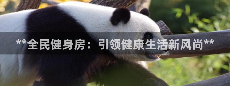 尊龙-人生就是博!：**全民健身房：引领健康生活新风尚*
