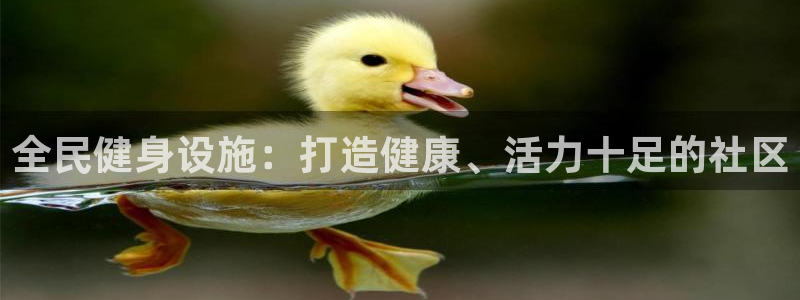 尊龙网站下分慢：全民健身设施：打造健康、活力十足的社区