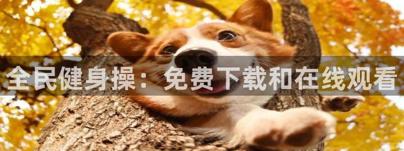 尊龙凯时官网版登录：全民健身操：免费下载和在线观看