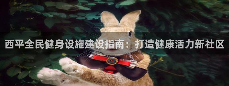 尊龙凯时输了100万：西平全民健身设施建设指南：打造健康