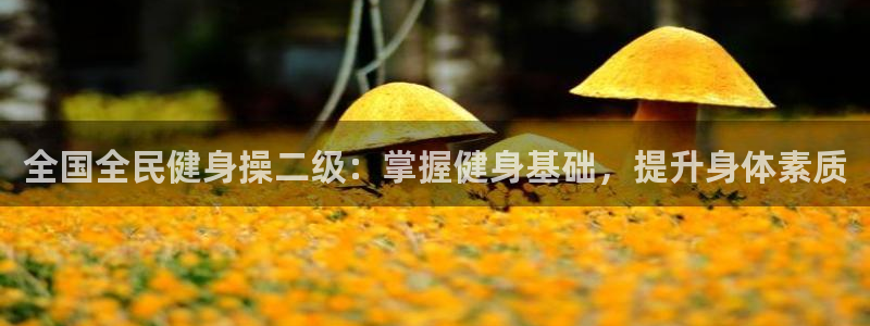 尊龙凯时平台怎么样：全国全民健身操二级：掌握健身基础，提