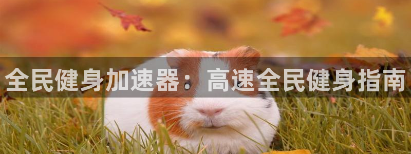 尊龙官网/首选kpm：全民健身加速器：高速全民健身指南