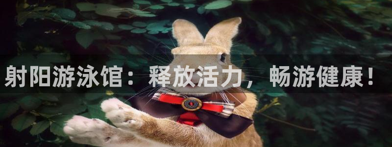 凯时AG网：射阳游泳馆：释放活力，畅游健康！