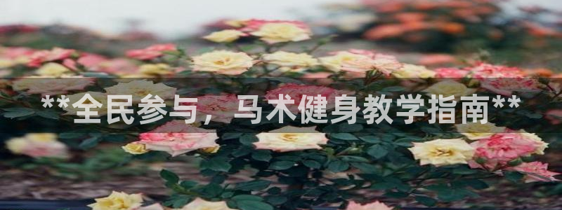 尊龙凯时登陆：**全民参与，马术健身教学指南**