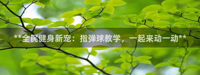 凯时a88：**全民健身新宠：指弹球教学，一起来动一动*