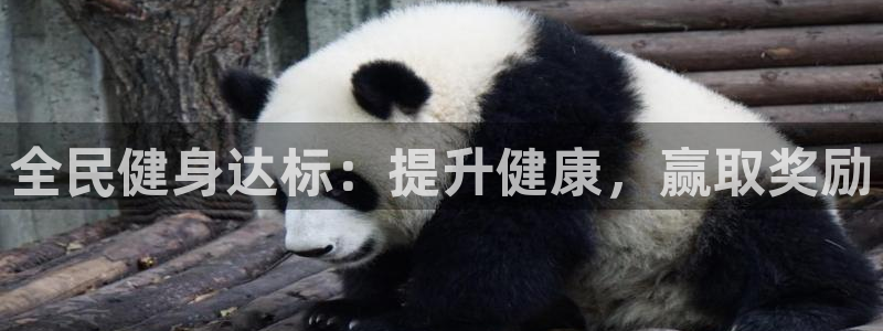 尊龙凯时人生就是搏客户：全民健身达标：提升健康，赢取奖励