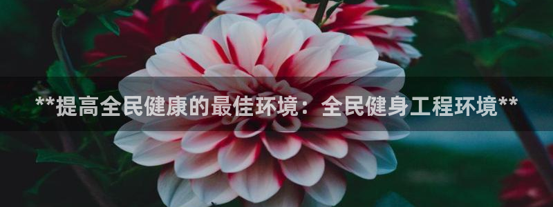 尊龙人生就是博现金：**提高全民健康的最佳环境：全民健身