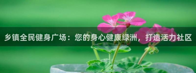 尊龙官网登录·(中国)官方网站-bd SPORTS：乡镇