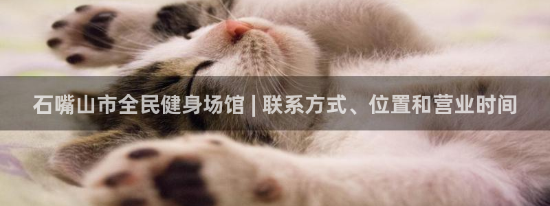 尊龙凯时不给提款：石嘴山市全民健身场馆 | 联系方式、位