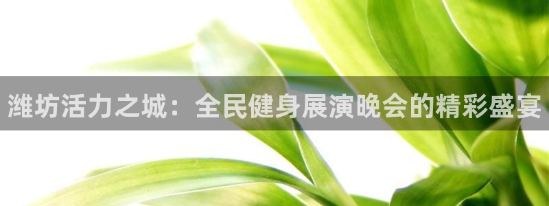 凯时游戏app：潍坊活力之城：全民健身展演晚会的精彩盛宴