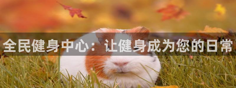 尊龙官网地址：全民健身中心：让健身成为您的日常
