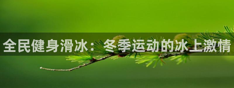 尊龙人生就是博：全民健身滑冰：冬季运动的冰上激情