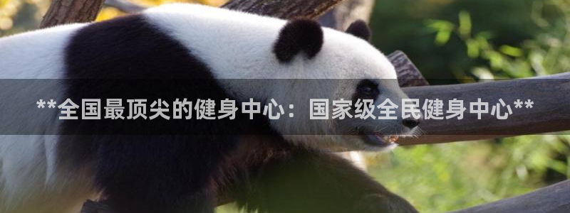 尊龙手机官方客户端下载安装：**全国最顶尖的健身中心：国