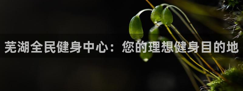 尊龙d88官网登录：芜湖全民健身中心：您的理想健身目的地