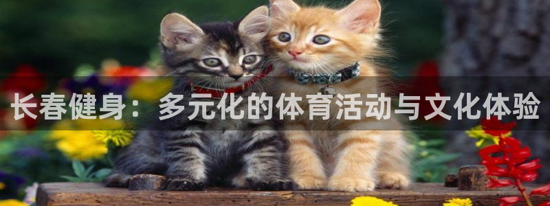 尊龙凯时贴吧