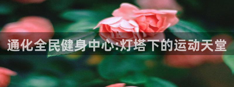 尊龙凯时凯发官网