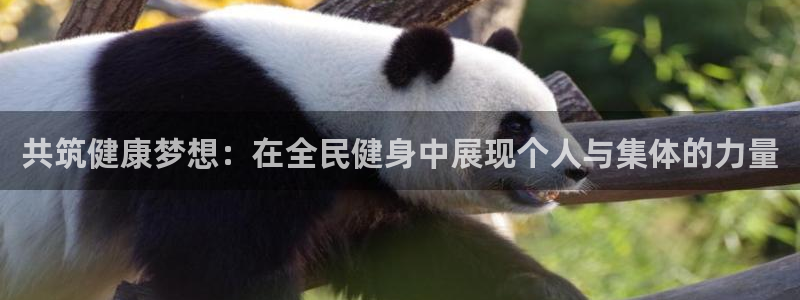 尊龙人生就是博AG