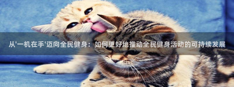尊龙官网在哪里