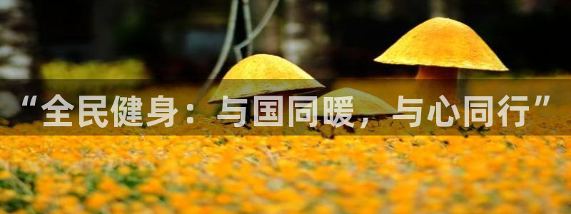 z6尊龙凯时官方