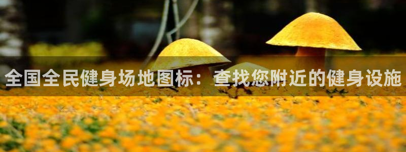 尊龙凯时产品种类：全国全民健身场地图标：查找您附近的健身