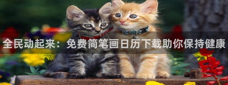 凯时k66登录：全民动起来：免费简笔画日历下载助你保持健