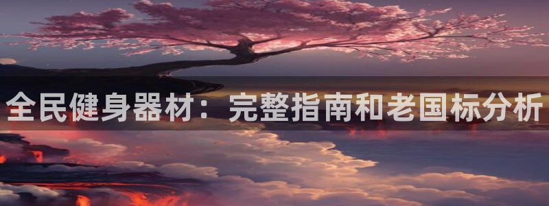 尊龙凯时取款24小时不到账：全民健身器材：完整指南和老国