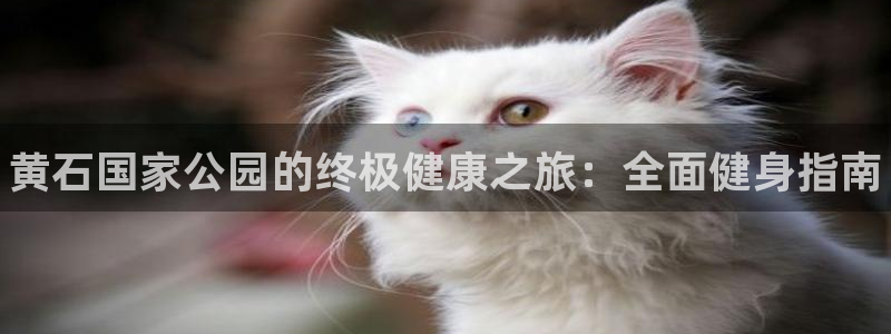 尊龙凯时下载人生就是博：黄石国家公园的终极健康之旅：全面