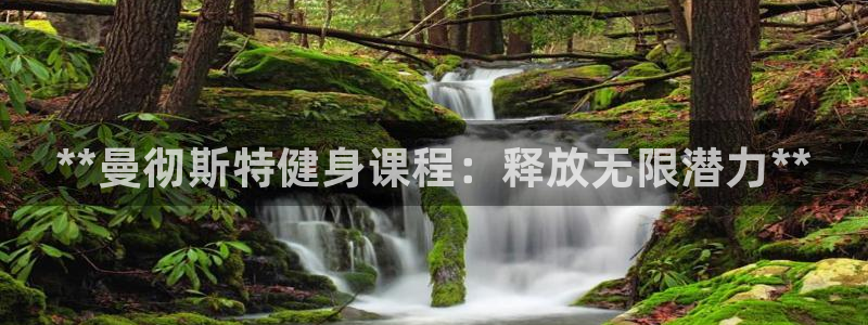 尊龙d88官网登录苹果版下载：**曼彻斯特健身课程：释放