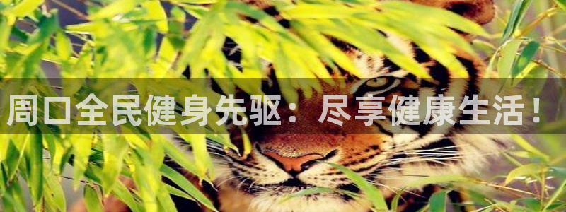 尊龙凯时 - 人生就是搏!：周口全民健身先驱：尽享健康生活！