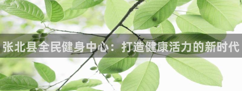 凯时k66登录：张北县全民健身中心：打造健康活力的新时代