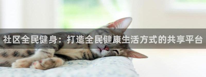 尊龙d88皆选ag发财网