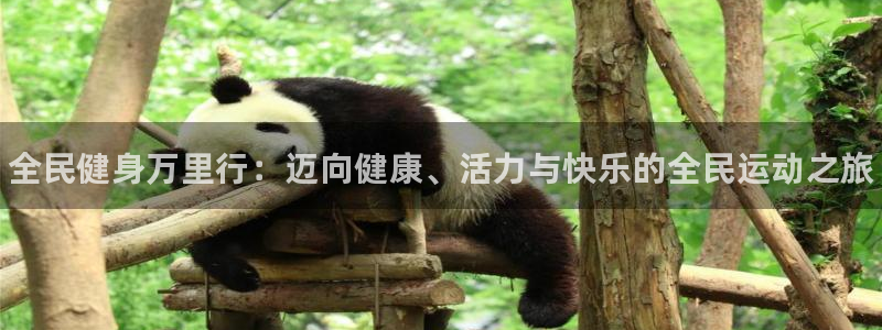 尊龙旗舰app：全民健身万里行：迈向健康、活力与快乐的全